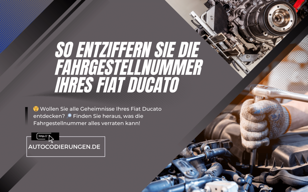 So entziffern Sie die Fahrgestellnummer Ihres Fiat Ducato